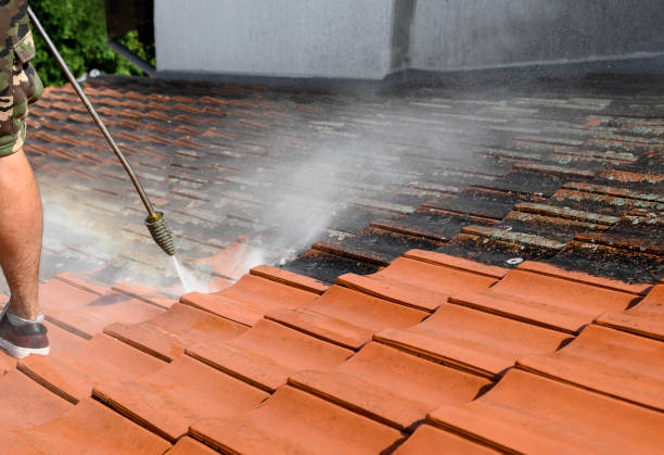 Best Exterior Home Cleaning  in West Carthage, NY