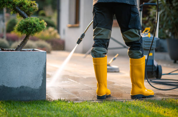 Best Power Washing Near Me  in West Carthage, NY